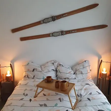 Apollo 5 Apartment Saas-Fee